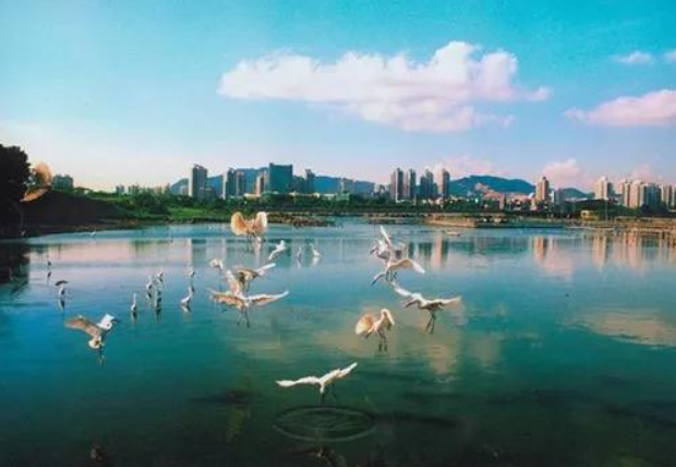 人民日?qǐng)?bào)：環(huán)境有價(jià)，損害必須擔(dān)責(zé)